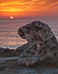 A guard for sunset(Cyprus)