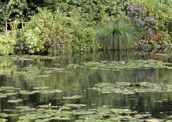Monet garden (France)