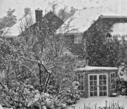 Snowfall.Norwich 