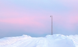 Winter sunset in pastel shades (Russia)